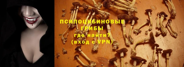 прущий лед Абаза