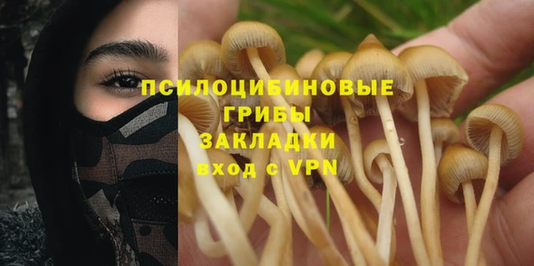трава Алзамай