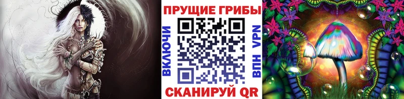 Псилоцибиновые грибы Cubensis  OMG tor  Шахты  купить наркоту 